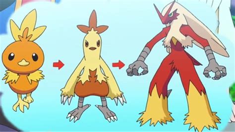torchic 3rd evolution.